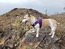 photo thumbnail #9