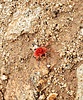 photo thumbnail #10