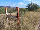 photo thumbnail #3