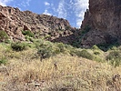 photo thumbnail #1