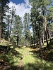 photo thumbnail #6