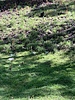 Featured Full Photo