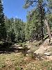 2021-09-19 :2: Fred Haught Trail #141 :: jillyonanadventure