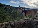 photo thumbnail #2