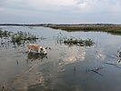 photo thumbnail #11