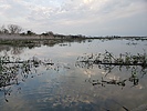 photo thumbnail #12