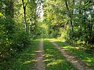 photo thumbnail #2