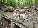 photo thumbnail #3