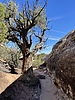 photo thumbnail #11