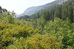photo thumbnail #2
