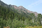photo thumbnail #3