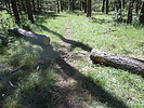 photo thumbnail #5