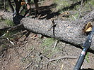 photo thumbnail #6