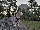 photo thumbnail #5