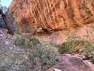 photo thumbnail #6