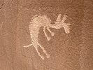 photo thumbnail #14