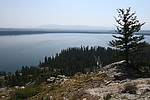 photo thumbnail #2