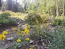 photo thumbnail #6