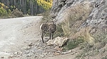photo thumbnail #1