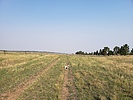 photo thumbnail #6