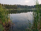 photo thumbnail #8