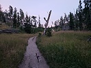 photo thumbnail #14