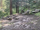 recent photo