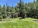 recent photo