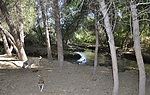photo thumbnail #8