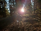 photo thumbnail #7