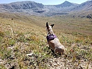 photo thumbnail #3