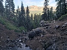 photo thumbnail #7
