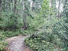 photo thumbnail #11