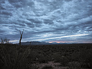photo thumbnail #2