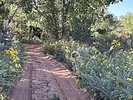 photo thumbnail #5