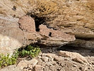 photo thumbnail #7