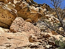 photo thumbnail #13