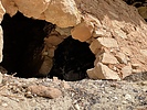 photo thumbnail #15