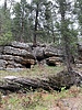 photo thumbnail #3