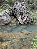 photo thumbnail #9