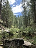 photo thumbnail #13