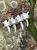 photo thumbnail #14