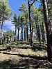 2021-09-25 :3: General Springs Canyon :: jillyonanadventure