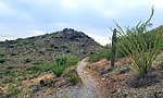 photo thumbnail #8