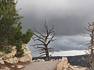 photo thumbnail #13