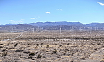 photo thumbnail #13