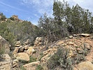 photo thumbnail #7