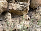 photo thumbnail #12