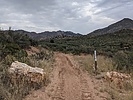 photo thumbnail #2
