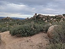 photo thumbnail #6